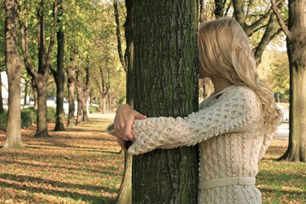 Древесный гороскоп друидов: У каждого есть свое дерево